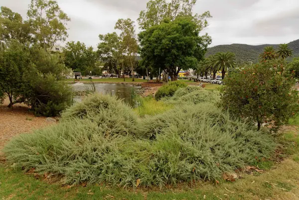 Tamworth Bicentennial Park (4)